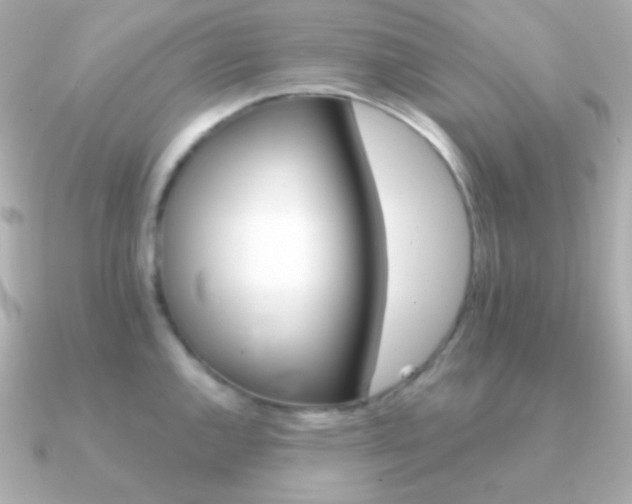 X0000091341144200708101439
