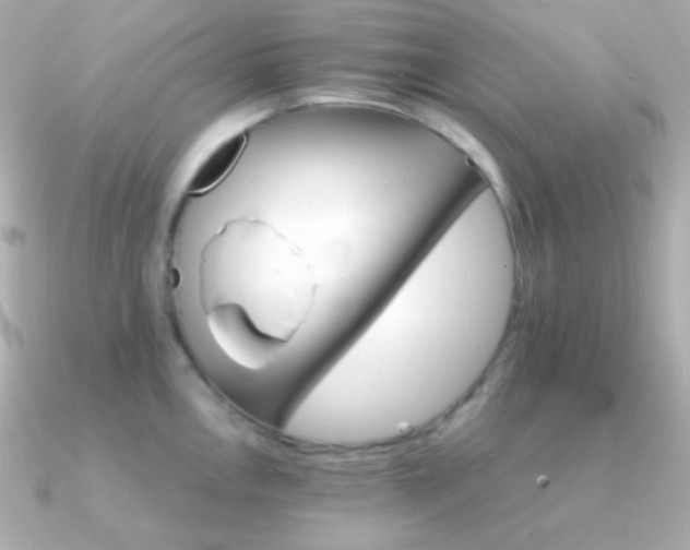 X0000091341146200708101439