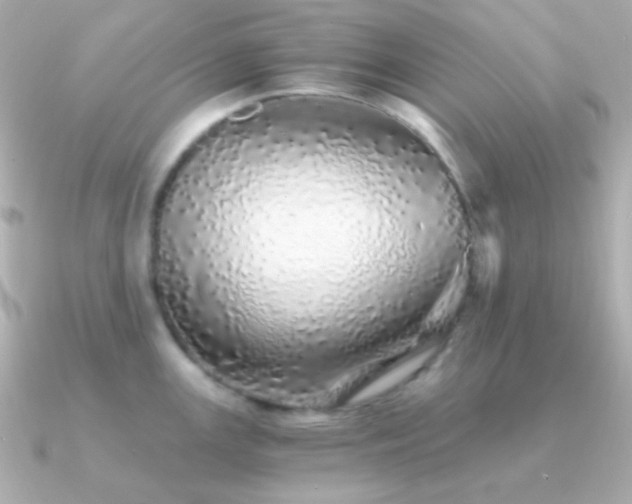 X0000091341147200708101439