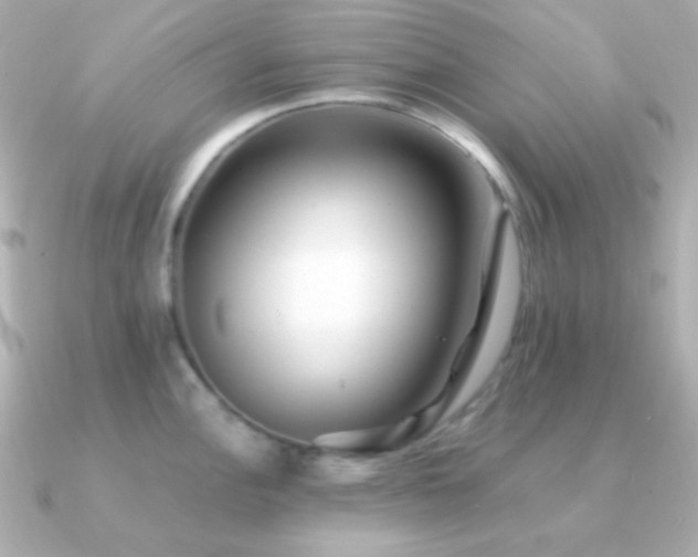 X0000091341148200708101439
