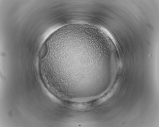 X0000091341149200708101439