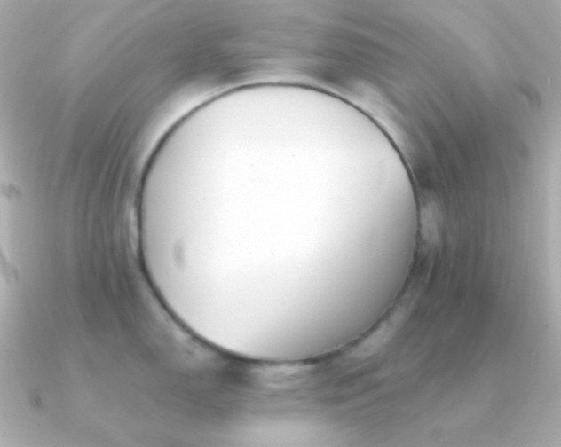 X0000091341150200708101439