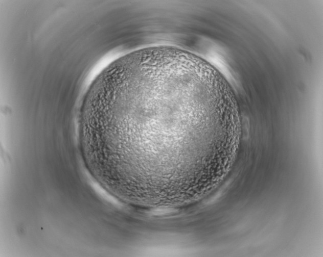 X0000091341151200708101439