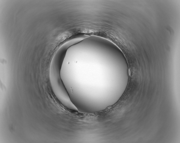 X0000091341153200708101438