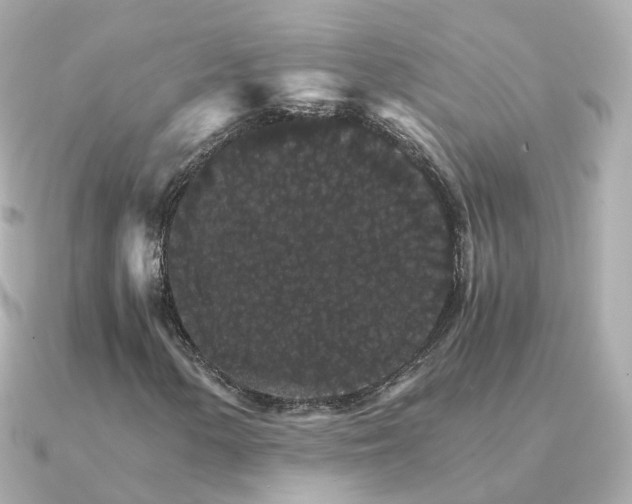 X0000091341154200708101438