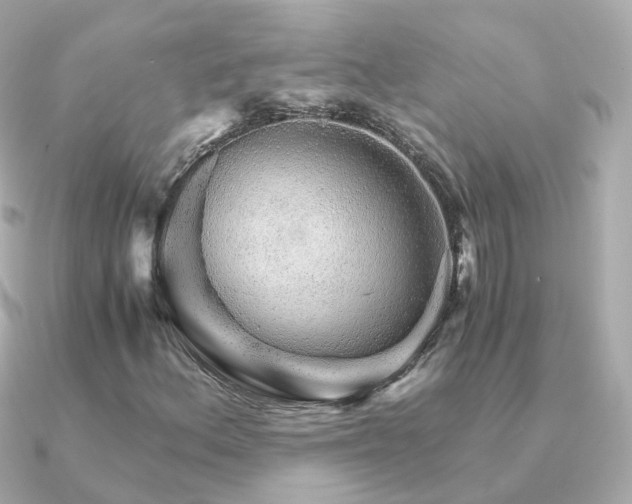X0000091341156200708101438