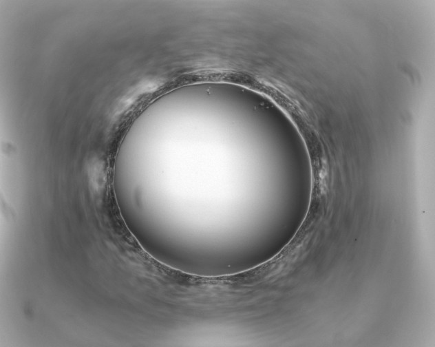 X0000091341157200708101438