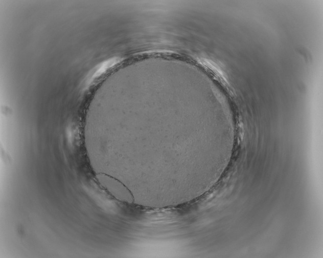 X0000091341159200708101438