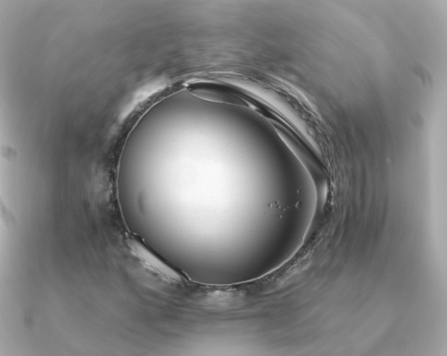 X0000091341160200708101438