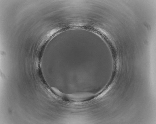 X0000091341161200708101438