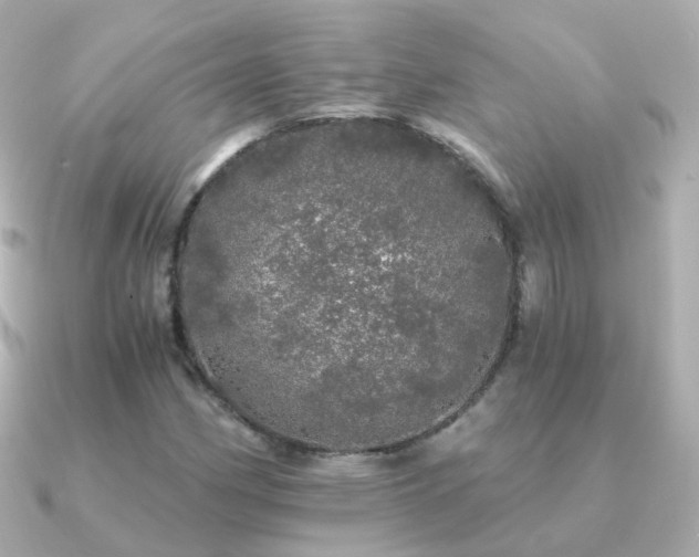X0000091341162200708101438