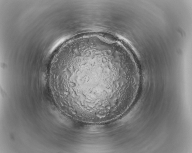 X0000091341163200708101438