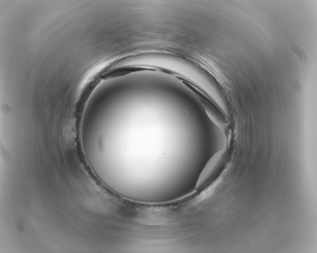 X0000091341164200708101438