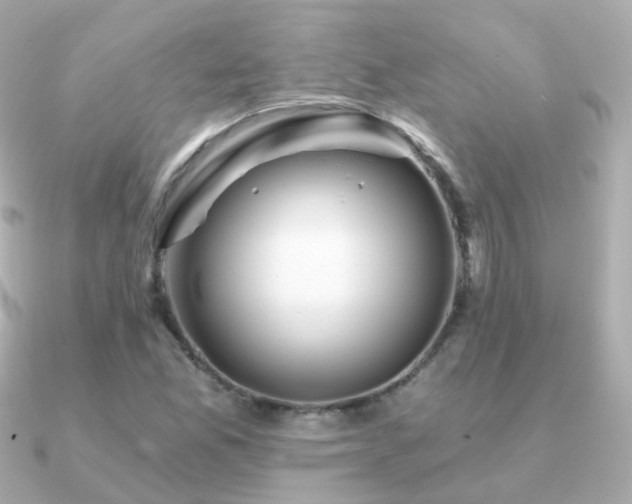 X0000091341165200708101438