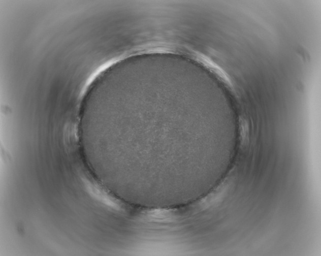 X0000091341166200708101438