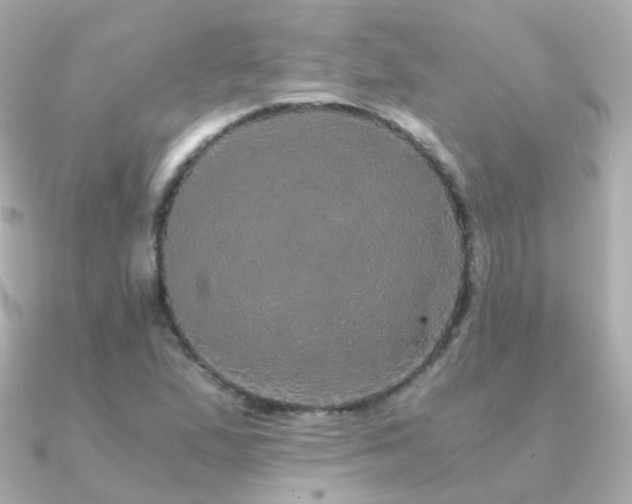 X0000091341167200708101438