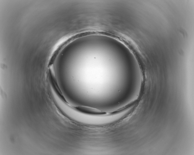 X0000091341168200708101438
