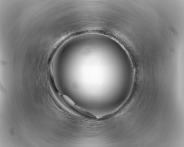X0000091341169200708101438