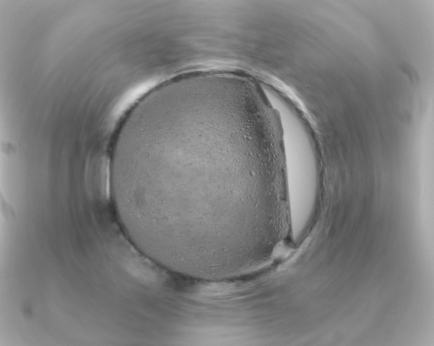 X0000091341171200708101438