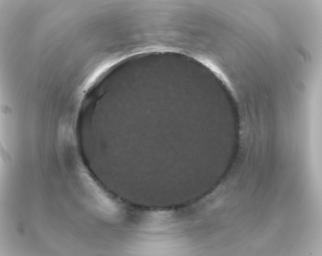 X0000091341173200708101438