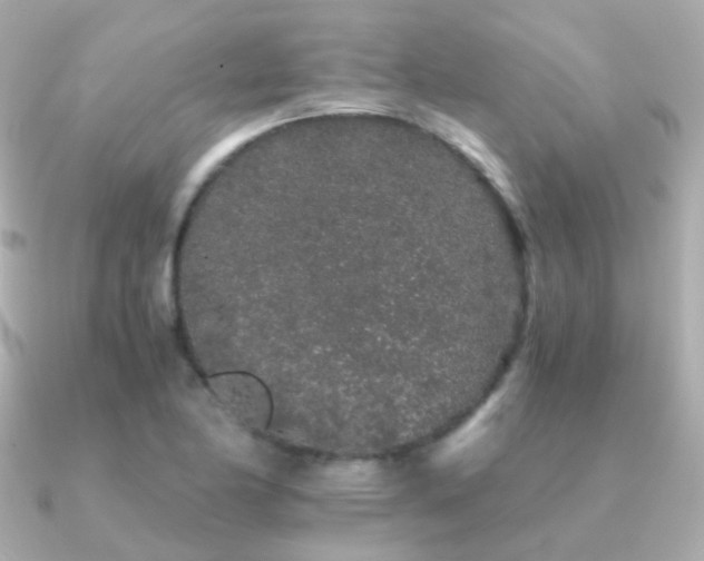 X0000091341174200708101438