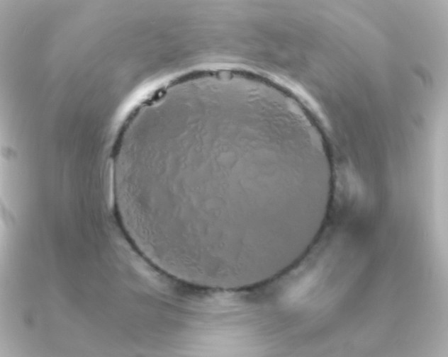 X0000091341175200708101438