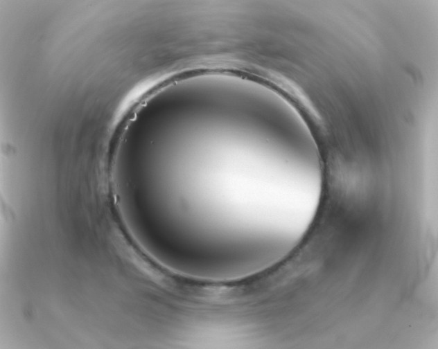 X0000091341176200708101438