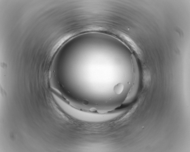 X0000091341177200708101438