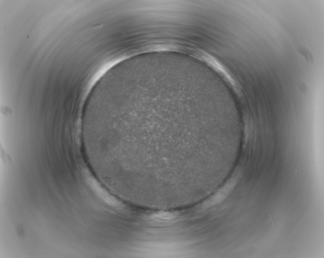 X0000091341178200708101438
