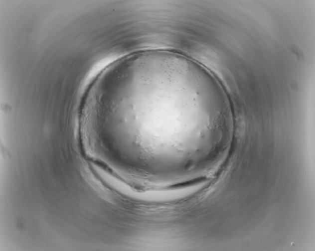 X0000091341179200708101438