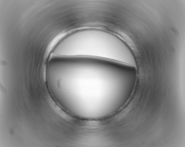 X0000091341180200708101438