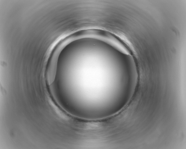 X0000091341181200708101438