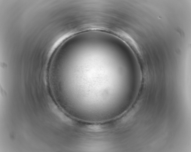 X0000091341182200708101438