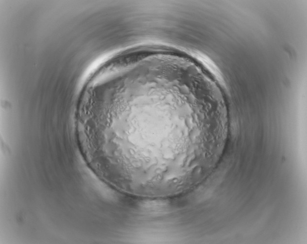X0000091341183200708101438
