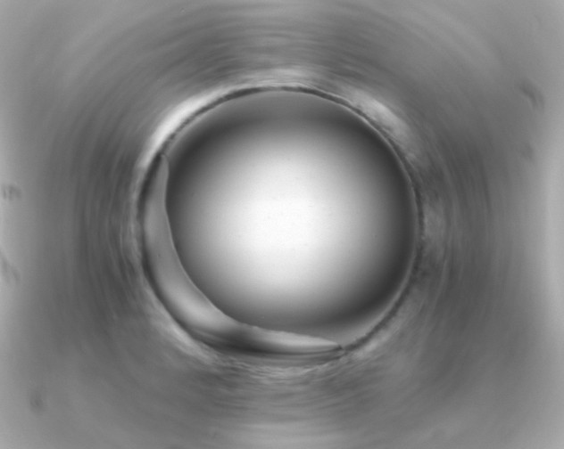 X0000091341184200708101438