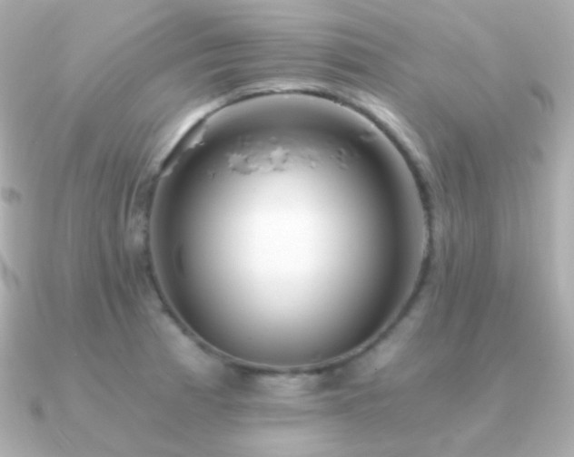 X0000091341185200708101438