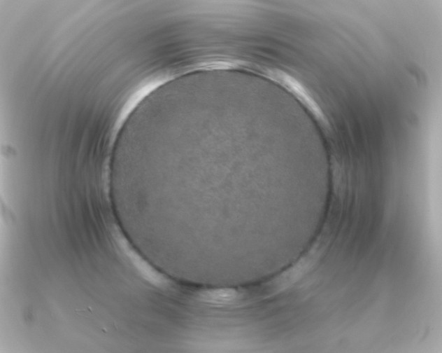 X0000091341186200708101438