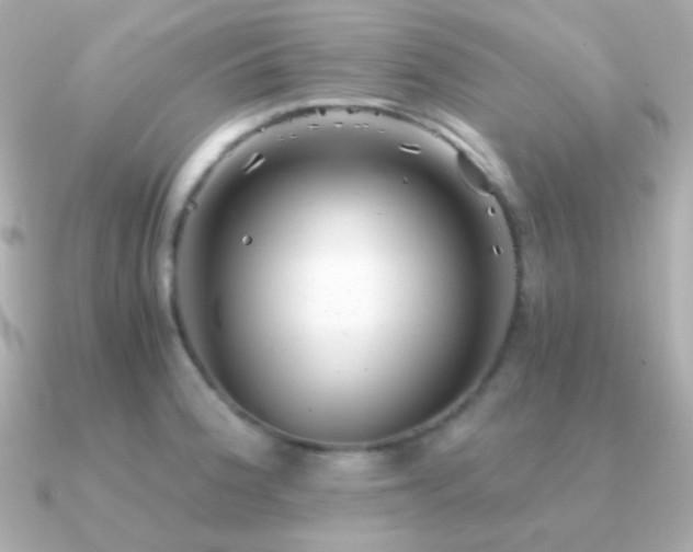 X0000091341188200708101438