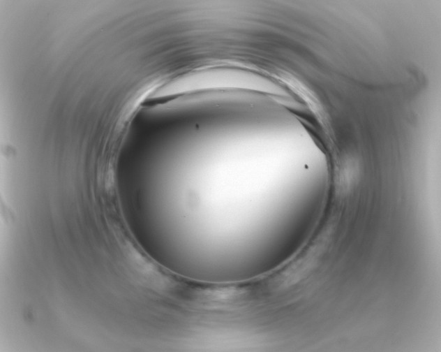 X0000091341193200708101438