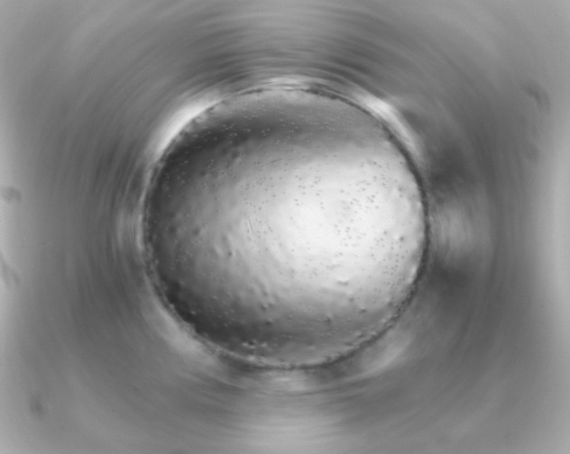X0000091341194200708101438