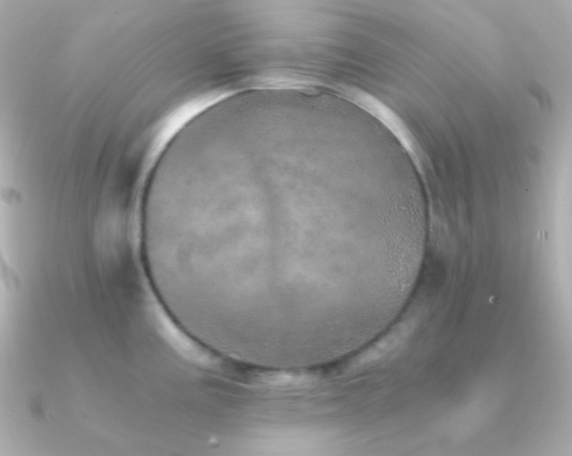 X0000091341195200708101438