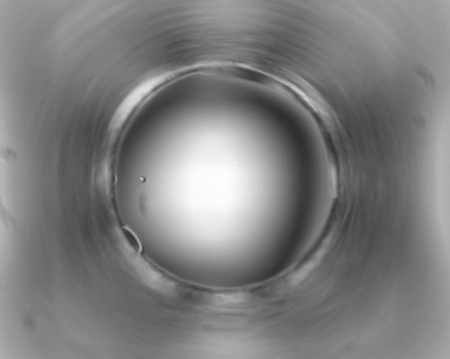 X0000091341196200708101438