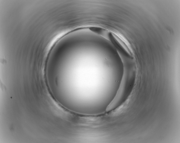 X0000091341197200708101438