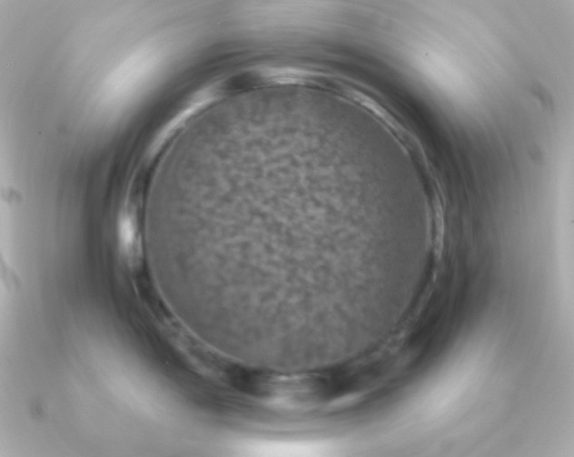 X0000091341198200708101438
