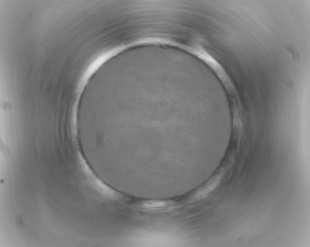 X0000091341199200708101438