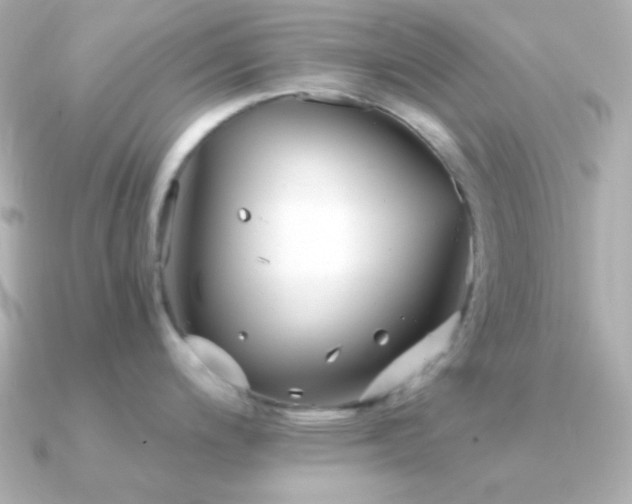 X0000091341200200708101438