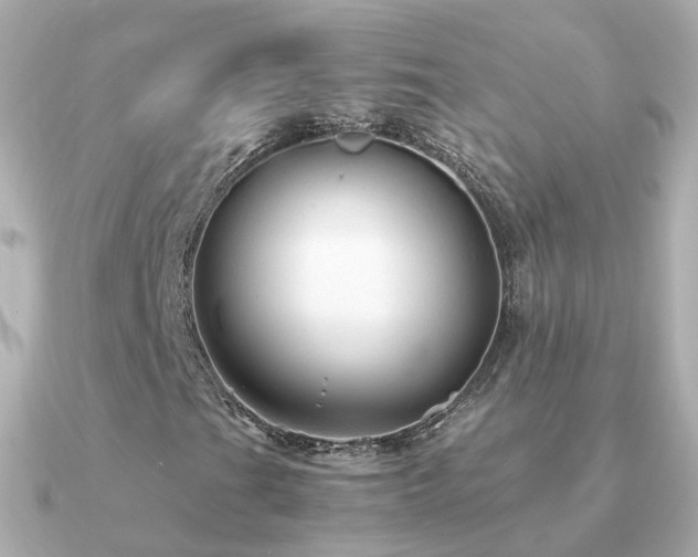 X0000091341201200708101437