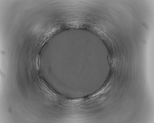 X0000091341202200708101437
