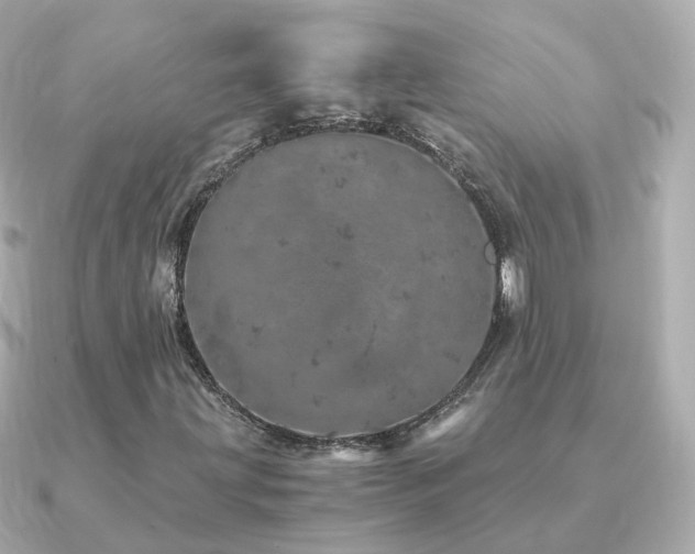 X0000091341203200708101437