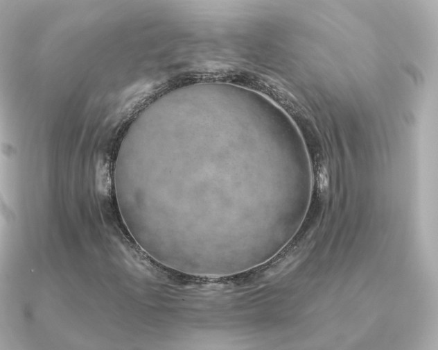 X0000091341204200708101437